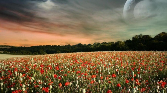 索尼互动娱乐宣布 PS6 的开发工作已经全面启动，你会如何期待索尼的下一代游戏主机呢？